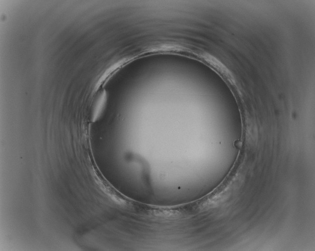 X0000062130945200512161148