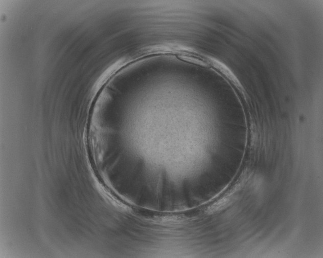 X0000062130946200512161148