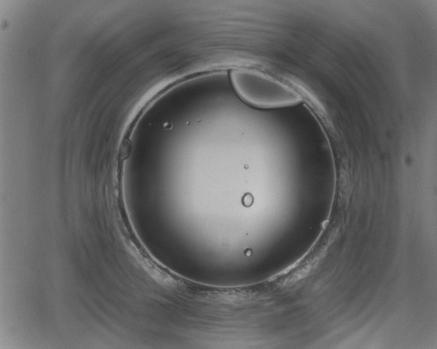 X0000062130948200512161148