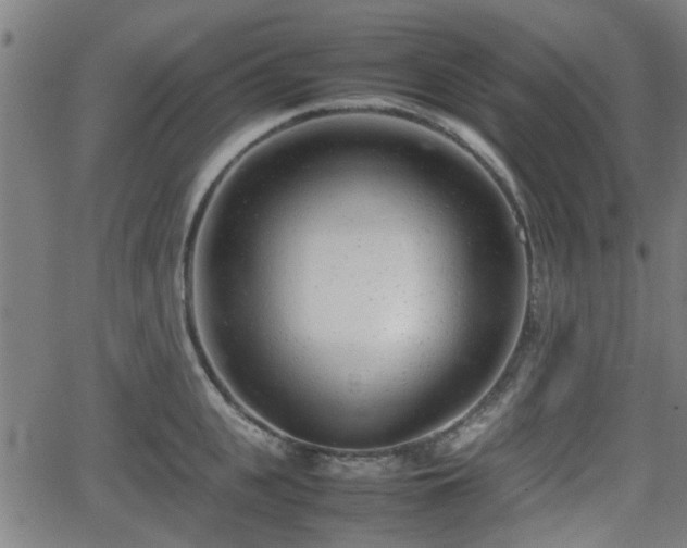 X0000062130951200512161148