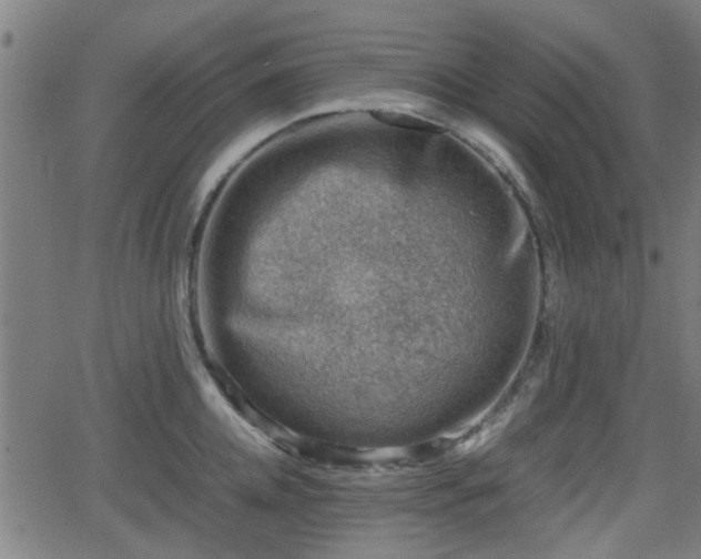 X0000062130952200512161148