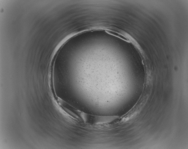 X0000062130955200512161148