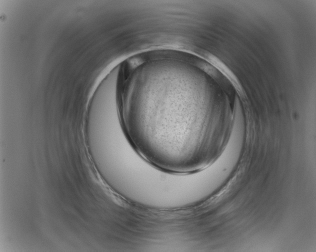 X0000062130956200512161148