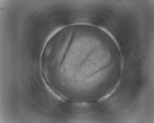 X0000062130957200512161148