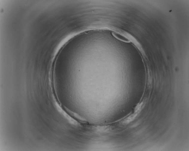 X0000062130958200512161148