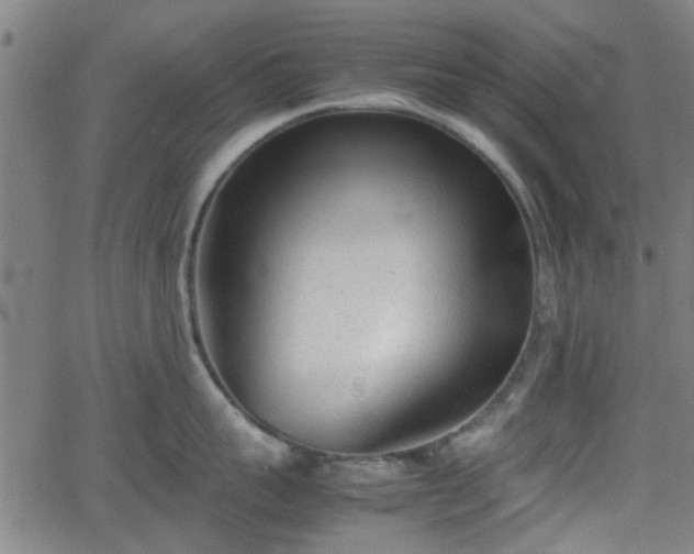 X0000062130959200512161148