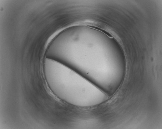 X0000062130960200512161148