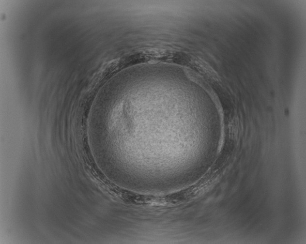 X0000062130961200512161148