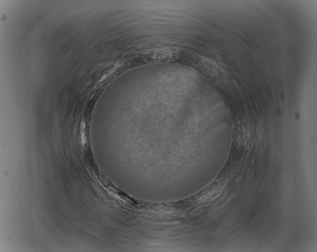 X0000062130962200512161148