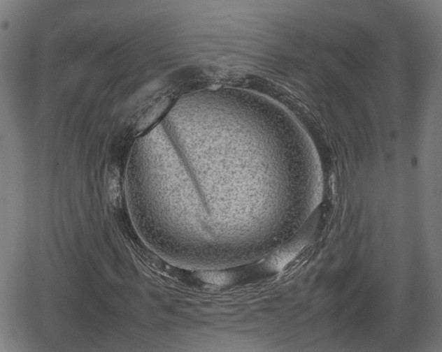 X0000062130963200512161148