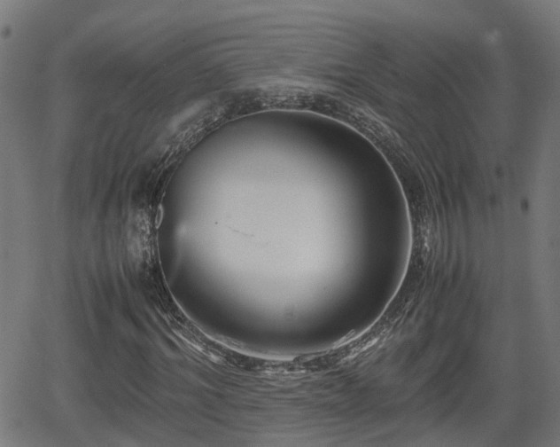 X0000062130964200512161148