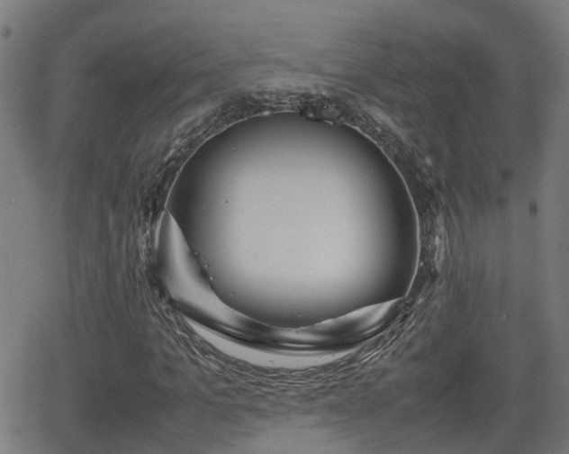 X0000062130965200512161148