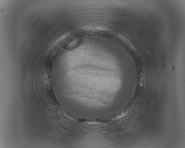 X0000062130966200512161148