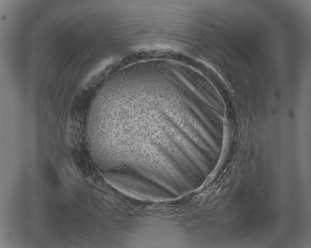 X0000062130967200512161147