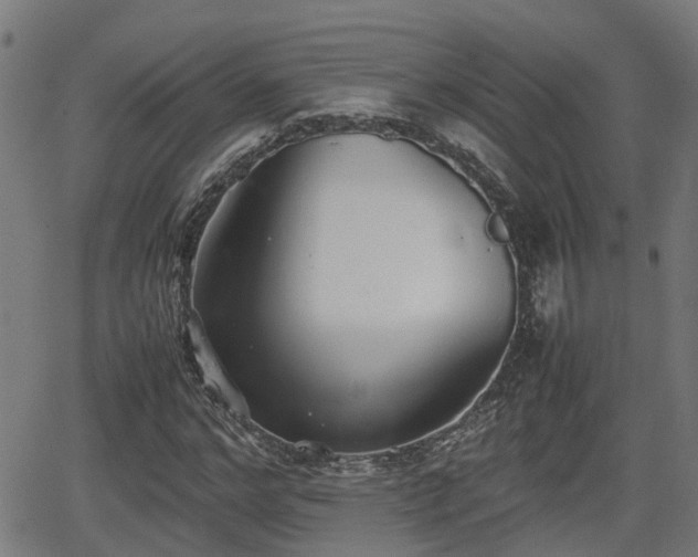 X0000062130968200512161147