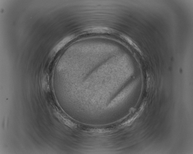 X0000062130970200512161147