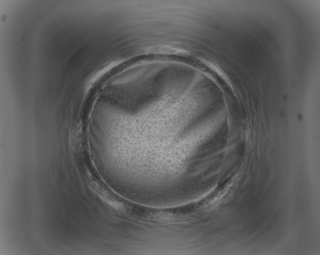 X0000062130971200512161147