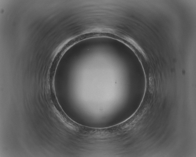 X0000062130972200512161147