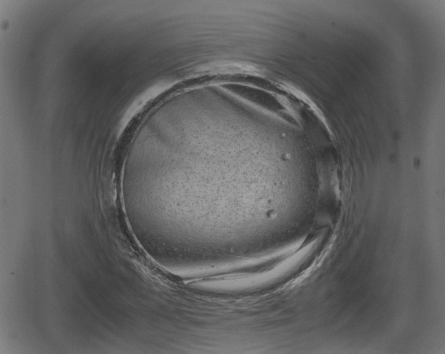 X0000062130973200512161147