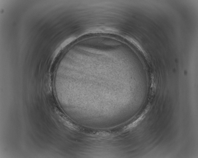 X0000062130974200512161147