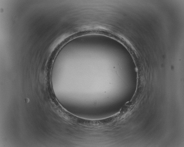 X0000062130975200512161147