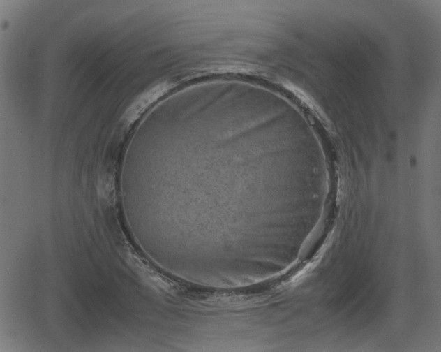 X0000062130977200512161147