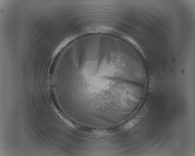 X0000062130978200512161147