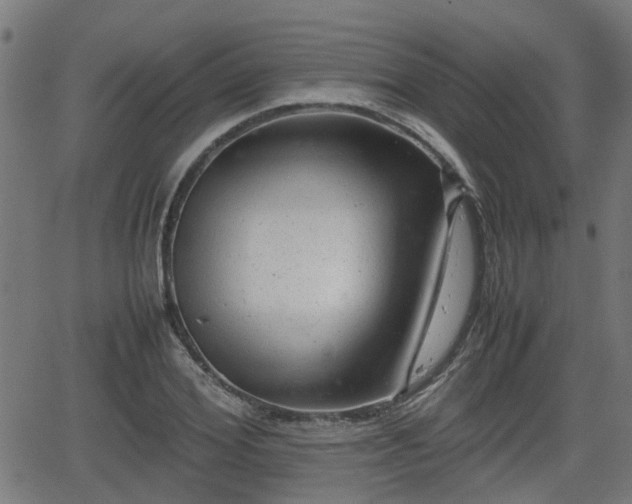 X0000062130980200512161147