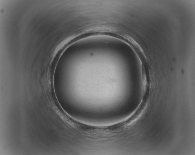 X0000062130981200512161147