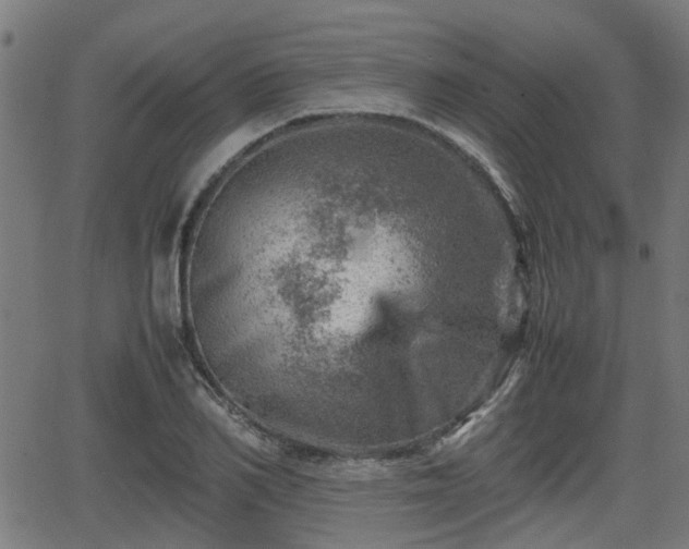 X0000062130982200512161147