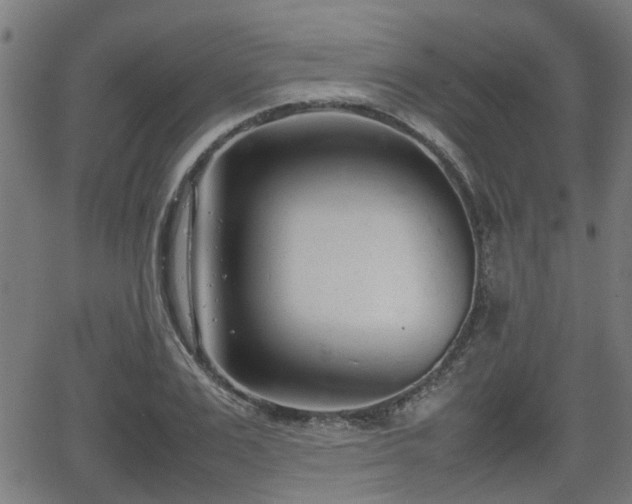 X0000062130983200512161147