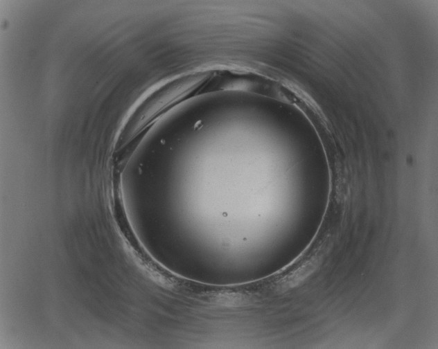 X0000062130984200512161147