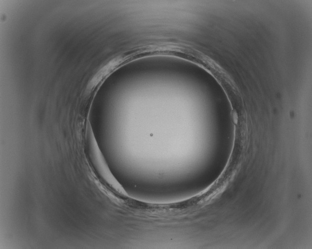 X0000062130985200512161147