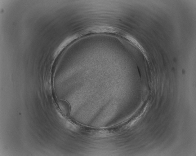 X0000062130986200512161147