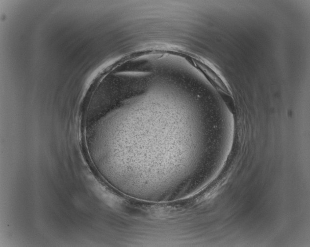 X0000062130987200512161147