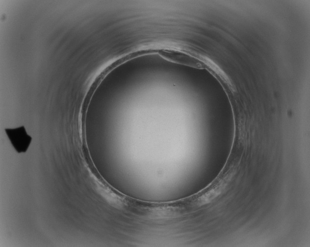 X0000062130988200512161147