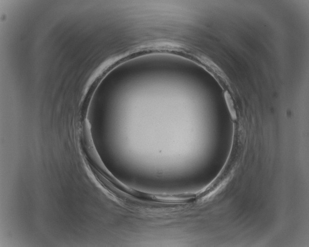 X0000062130989200512161147