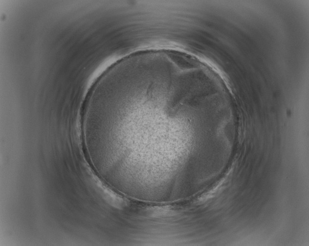 X0000062130990200512161147