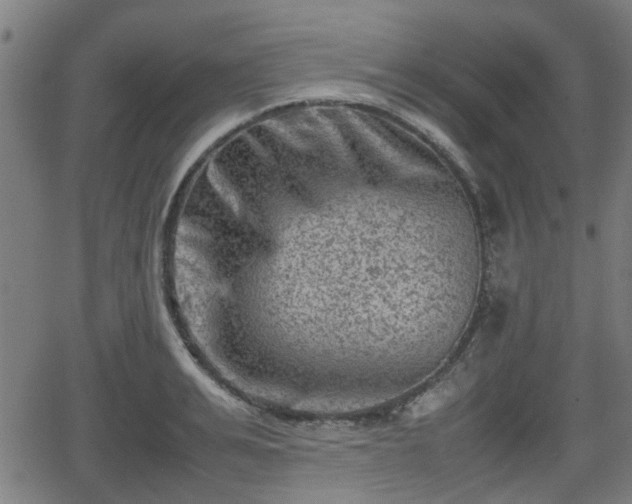 X0000062130991200512161147