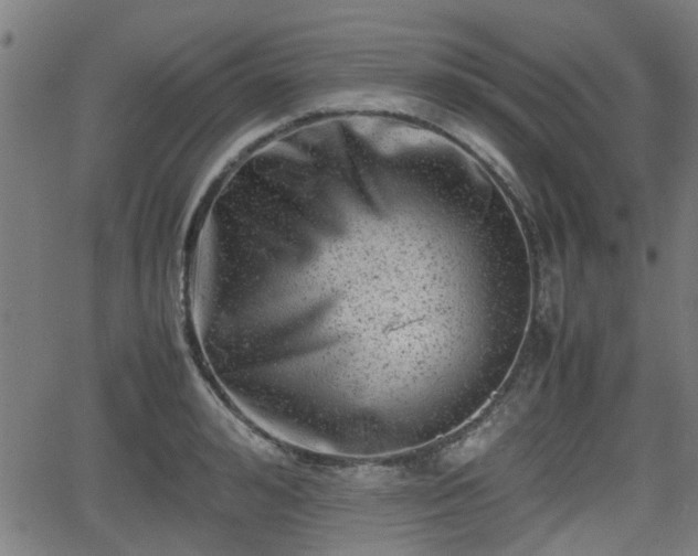 X0000062130992200512161147