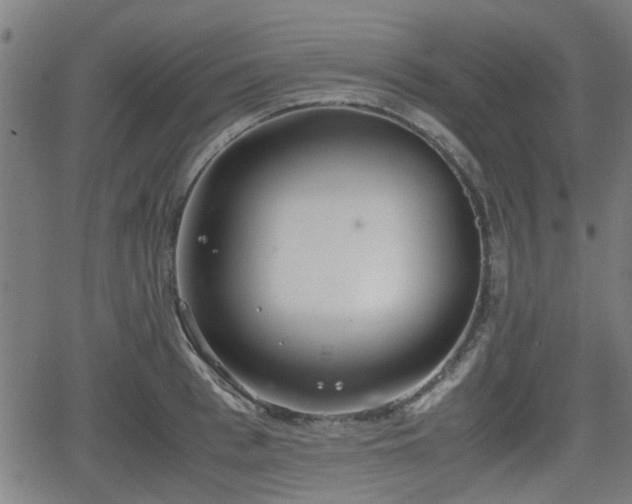 X0000062130993200512161147