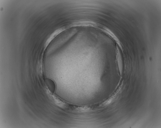 X0000062130994200512161147