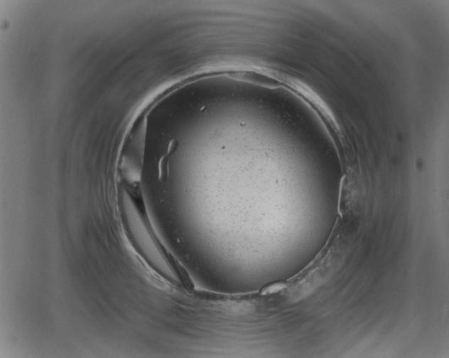 X0000062130996200512161147