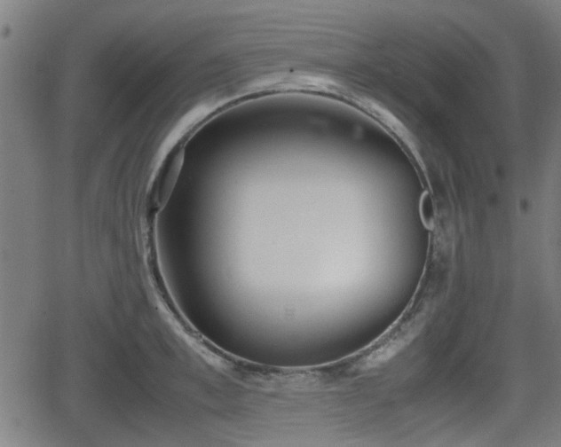 X0000062130997200512161147