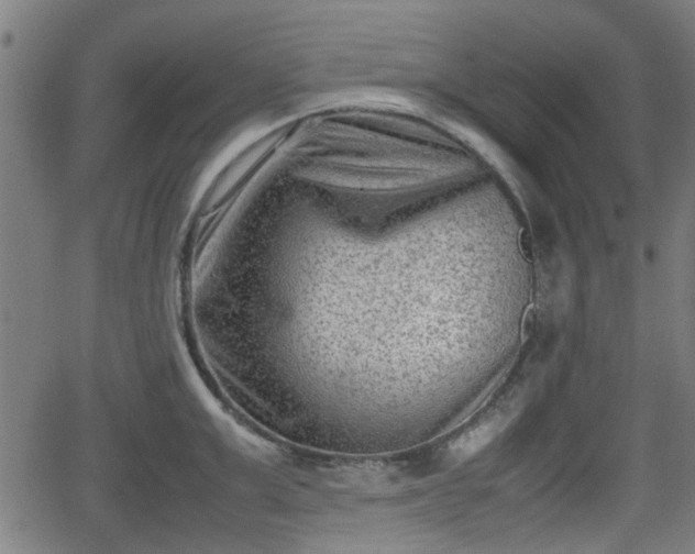 X0000062130999200512161147