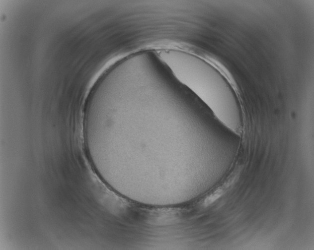 X0000062131000200512161147