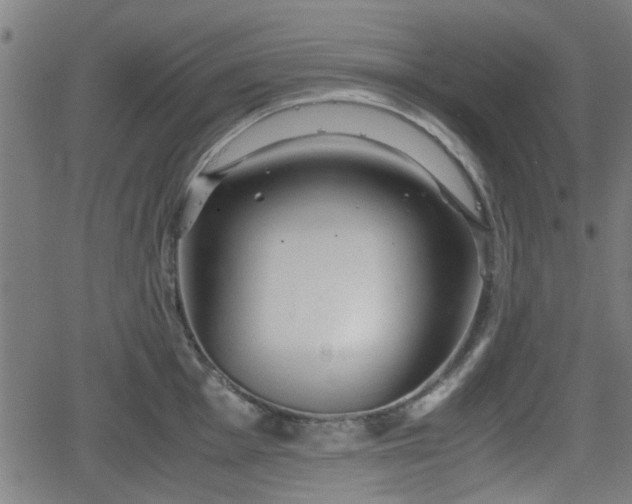 X0000062131001200512161147