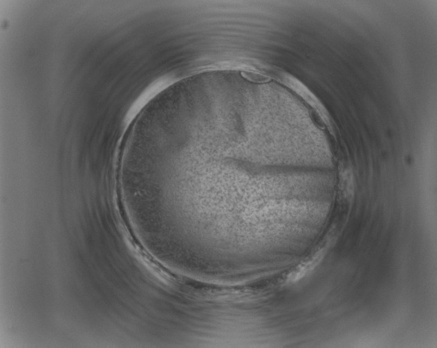 X0000062131002200512161147