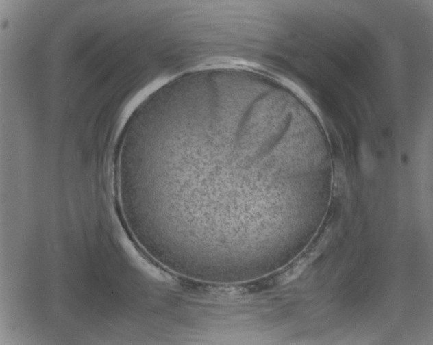 X0000062131003200512161147