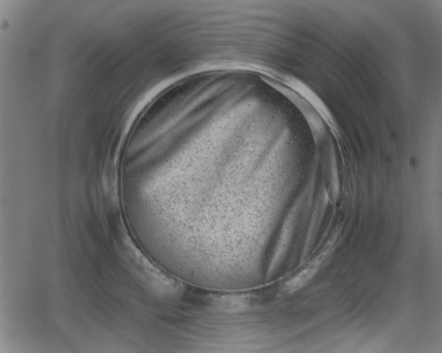 X0000062131004200512161147